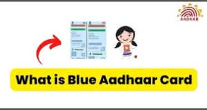 What is Blue Aadhaar Card How To Apply Step By Step in Hindi | Baal Aadhaar Card Kya Hai Blue Aadhaar Card Importance, Benefits More Details | क्या है Blue Aadhaar Card, क्यों है इसे बनवाना जरूरी? ऐसे करें ऑनलाइन अप्लाई