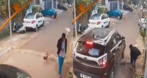 Ghaziabad Indirapuram Dog Accident Video | The boy was busy on mobile and the car ran over the dog, shocking video surfaced! | मोबाइल में Busy रहा लड़का और कुत्ते पर चढ़ गई कार