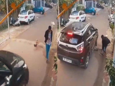 Ghaziabad Indirapuram Dog Accident Video | The boy was busy on mobile and the car ran over the dog, shocking video surfaced! | मोबाइल में Busy रहा लड़का और कुत्ते पर चढ़ गई कार